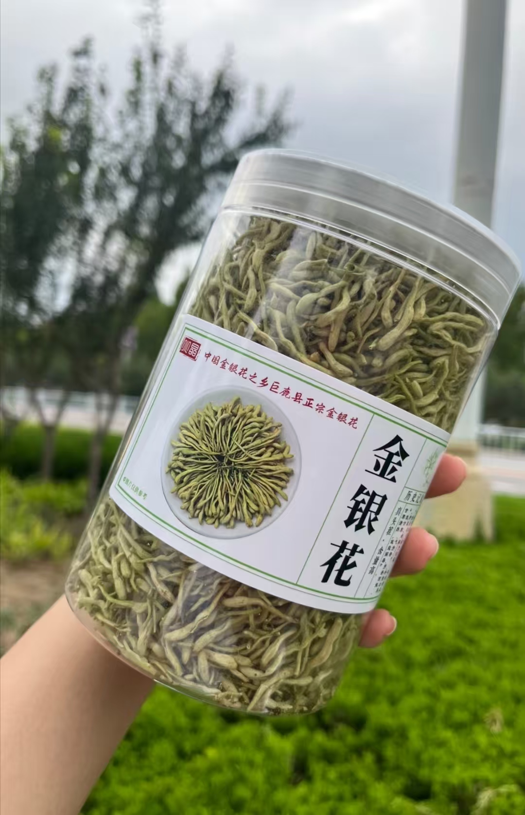 微信图片_2026-02-21_133822_688.jpg 微信图片_2026-02-21_133822_688.jpg