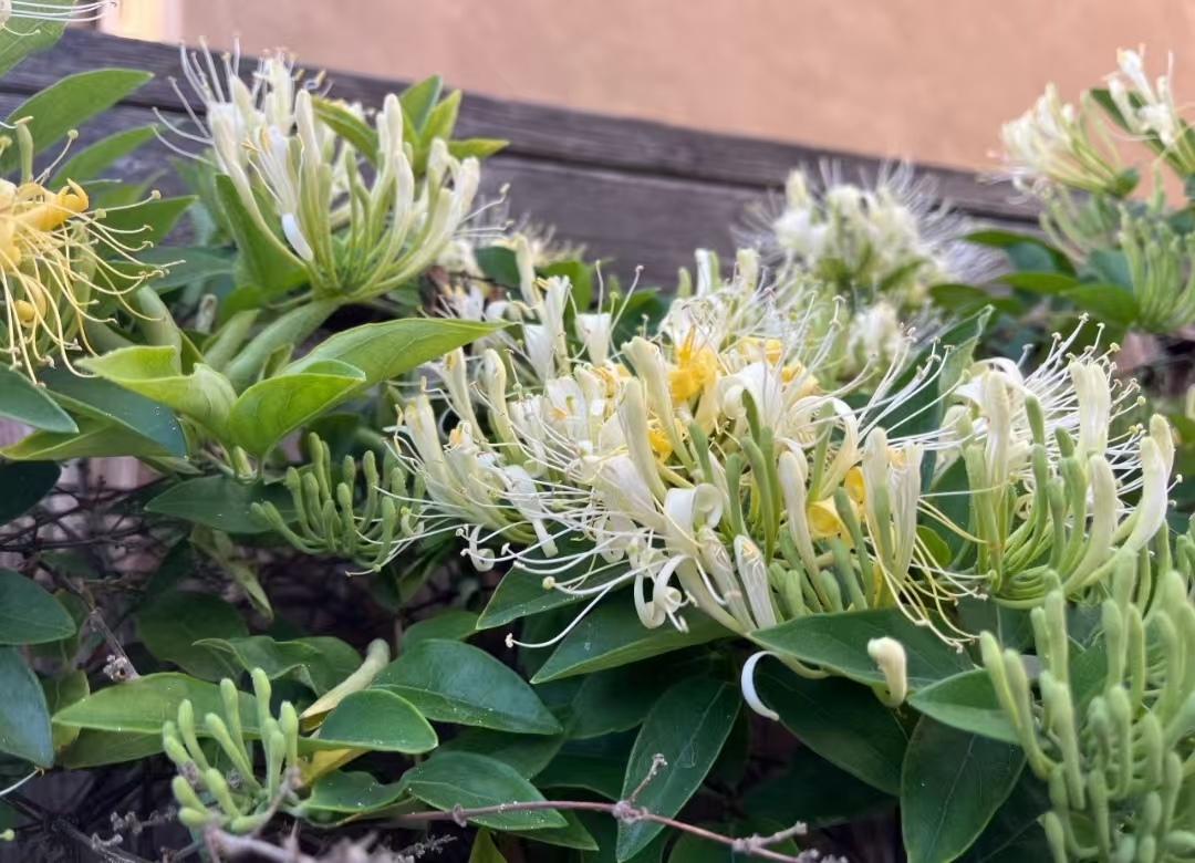 微信图片_2026-02-21_133751_591.jpg 微信图片_2026-02-21_133751_591.jpg