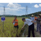 杨维刚率队赴海南考察调研种业发展情况