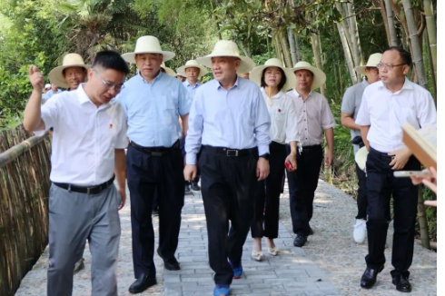 杨维刚带队到郴州调研油茶及农业产业发展情况