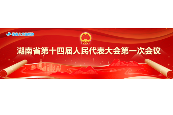 直播丨湖南省十四屆人大一次會議第二場“代表通道”