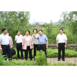 陈飞赴长株潭开展“法治护绿”执法检查、了解生态绿心保护条例、“三会三文”精神落实情况