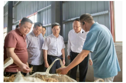省人大常委会“法治护绿”执法检查第七组赴常德、岳阳开展执法检查和贯彻落实“三会三文”精神调研