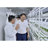 张剑飞率队调研代表议案办理工作强调：要协同发力，共同推动议案办理工作提质增效