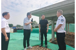 陈飞赴益阳开展“法治护绿”执法检查和“三会三文”精神贯彻落实情况调研