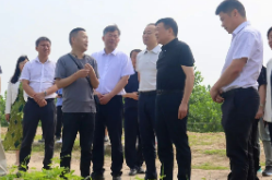 陈飞率队赴益阳开展湿地保护立法调研