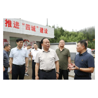 周农赴汝城、桂东调研乡村振兴驻村帮扶工作