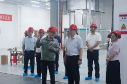 张剑飞在督办重点处理代表建议时强调：全力推动湖南电子玻璃产业在市场中站稳脚跟、顺利发展