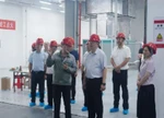 张剑飞在督办重点处理代表建议时强调：全力推动湖南电子玻璃产业在市场中站稳脚跟、顺利发展