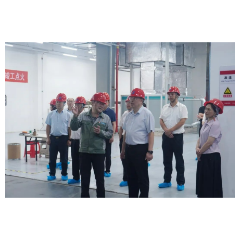 张剑飞在督办重点处理代表建议时强调：全力推动湖南电子玻璃产业在市场中站稳脚跟、顺利发展