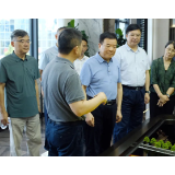 陈飞率队赴常德开展“法治护企”执法检查及反电诈法律法规贯彻实施情况专题调研