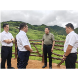陈飞率队赴桂东县调研乡村振兴驻村帮扶工作