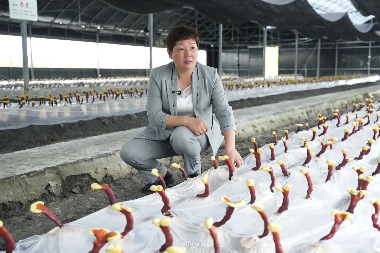 e15ff8789b7fb8791c5b994db9af557a.jpg e15ff8789b7fb8791c5b994db9af557a.jpg