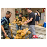   国网湘潭供电公司开通“绿色通道”解决扶贫农产品销售难题
