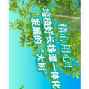 长卷丨精心用心！培植好长株潭一体化发展的“大树”