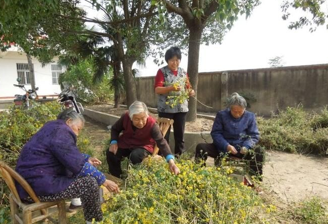 破解农村养老难题 全国人大代表建言乡村振兴