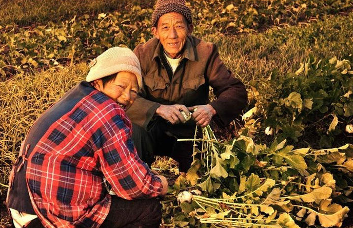 “土地养老”难解农村养老困局