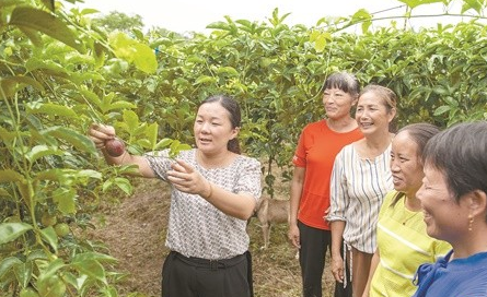 一群女能手，撑起“半边天”