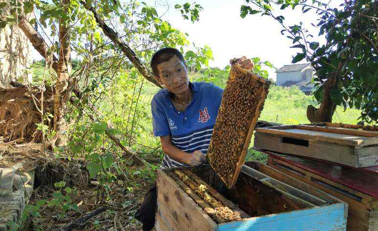 湖南澧县：量体裁衣 激发脱贫内动力