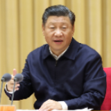 提升法治促进国家治理体系和治理能力现代化的效能