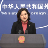 WTO上诉机构“瘫痪” 外交部：我们维护多边贸易体制的努力不会止步