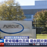 美麦肯锡曝出丑闻 近45万美国人死于这种药物滥用 背后成因更可怕！