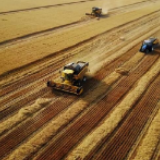 【地评线】荔枝网评：为农业生产插上“数字翅膀”