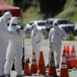 特朗普政府所作所为危害国际抗疫努力