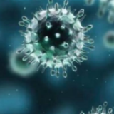 英国《卫报》:科学界表示没有证据表明该病毒是基因改造而成