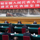 独家视频丨习近平参加湖北代表团审议