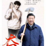 奋斗：青春的逆行