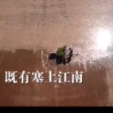 时政微纪录丨跨越24年的牵挂