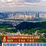【在习近平新时代中国特色社会主义思想指引下——育新机 开新局】科技赋能产业 推动高质量发展