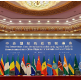 非洲观察丨中非携手同行 多国人士高度评价中非团结抗疫特别峰会