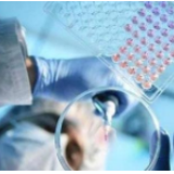 海关检测超三万个进口商品样品，结果均为新冠肺炎病毒阴性