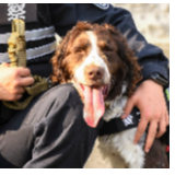 乘风破浪吧！缉毒小英雄！