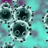 中疾控：北京本次疫情排除武汉流行毒株或动物病毒外溢导致