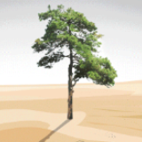 世界环境日丨天更蓝水更清，美丽中国画卷正徐徐展开