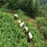 【决战决胜脱贫攻坚】我国生态扶贫主要目标基本完成