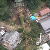 连根拔起！日本岐阜县千年“神木”暴雨中倒下