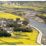 工人日报丨“链”起来，小康生活零距离