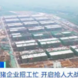 这个市场太火爆！有人没毕业就被疯抢！还有人一天预计赚1万元→