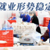 【图说中国经济】“六稳六保”成效显著 中国经济发展信心坚定