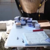 美媒：美军感染人数过去三周增加一倍多