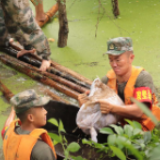 抗洪大堤上的“四平营”传人