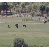 “北斗”正成为中国北方更多牧民的“千里眼”