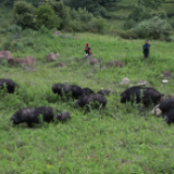 脱贫后不返贫，是这个青年努力的方向