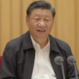 关于西藏工作 习近平谈到“四个确保”