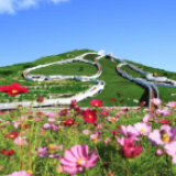 【幸福花开新边疆】采石匠在石头上种出“幸福花”