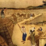 迎秋、咬秋、晒秋……这份立秋的诗意请收下